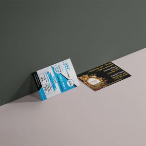 Giganet & Crizantema